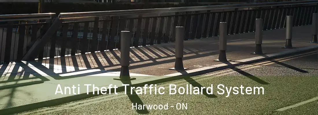  Anti Theft Traffic Bollard System Harwood - ON