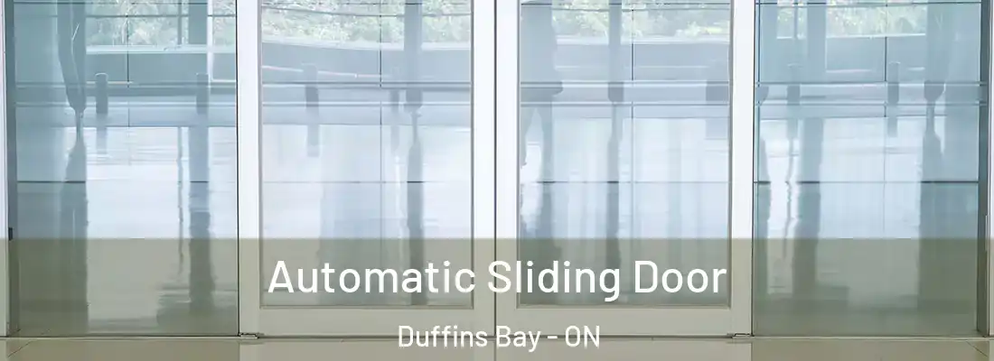  Automatic Sliding Door Duffins Bay - ON