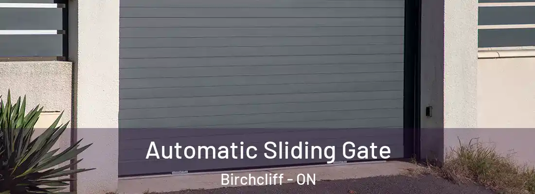  Automatic Sliding Gate Birchcliff - ON