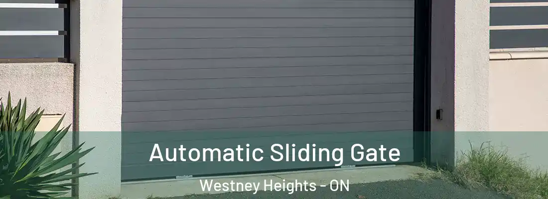  Automatic Sliding Gate Westney Heights - ON