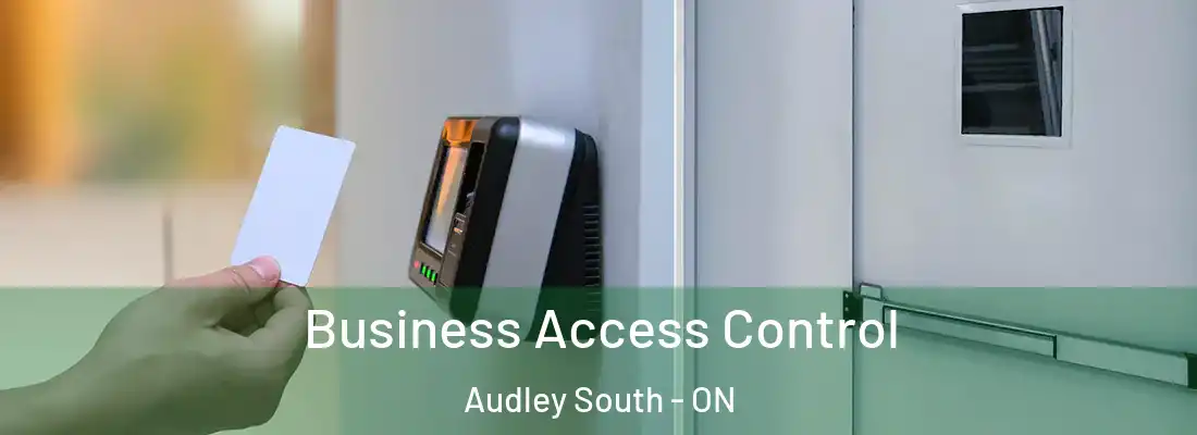  Business Access Control Audley South - ON