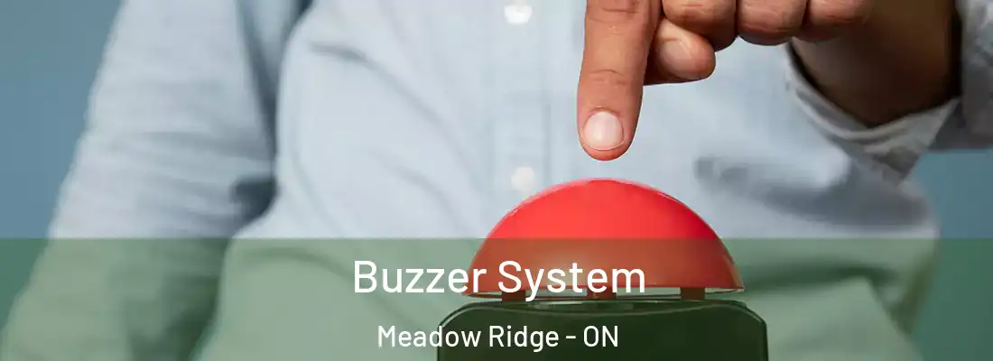  Buzzer System Meadow Ridge - ON