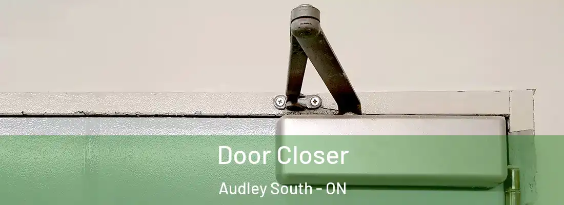  Door Closer Audley South - ON