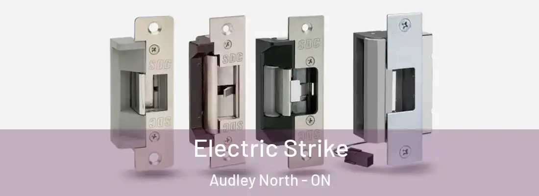  Electric Strike Audley North - ON
