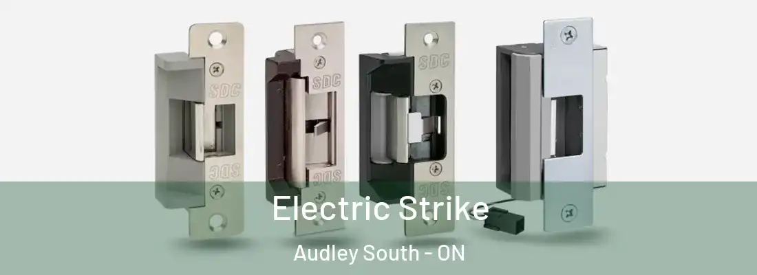 Electric Strike Audley South - ON