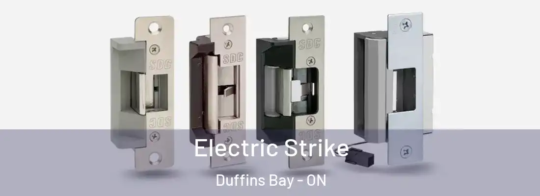  Electric Strike Duffins Bay - ON