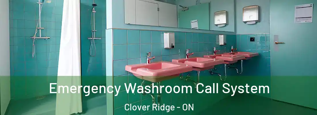  Emergency Washroom Call System Clover Ridge - ON