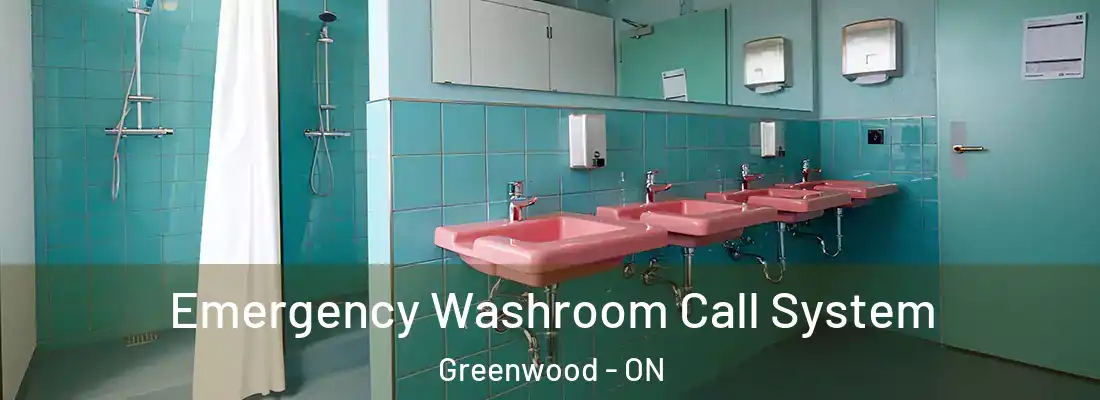 Emergency Washroom Call System Greenwood - ON
