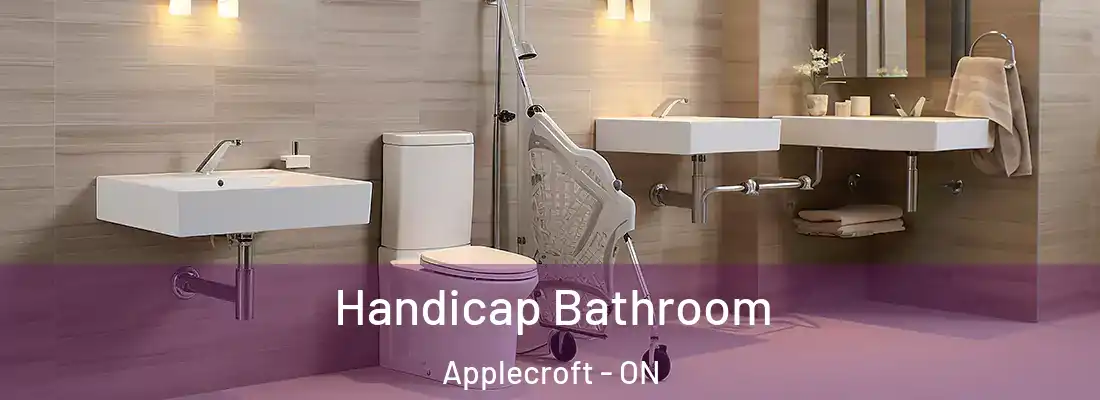  Handicap Bathroom Applecroft - ON