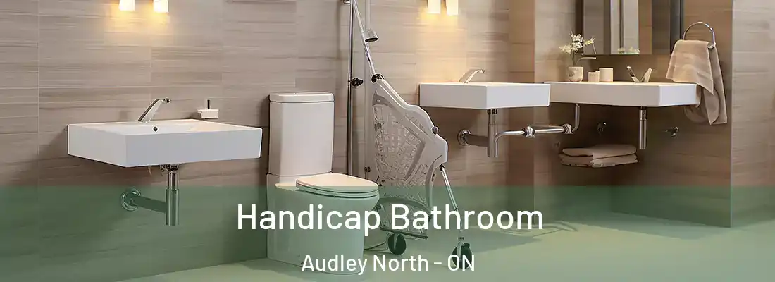  Handicap Bathroom Audley North - ON