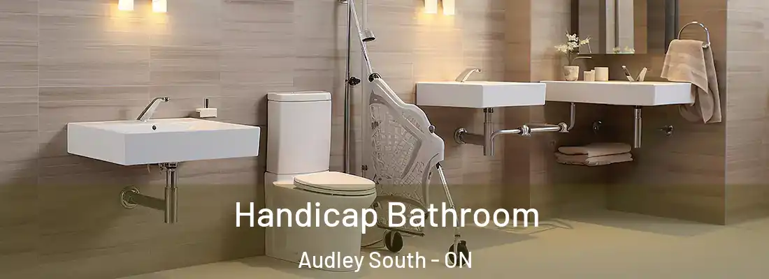  Handicap Bathroom Audley South - ON