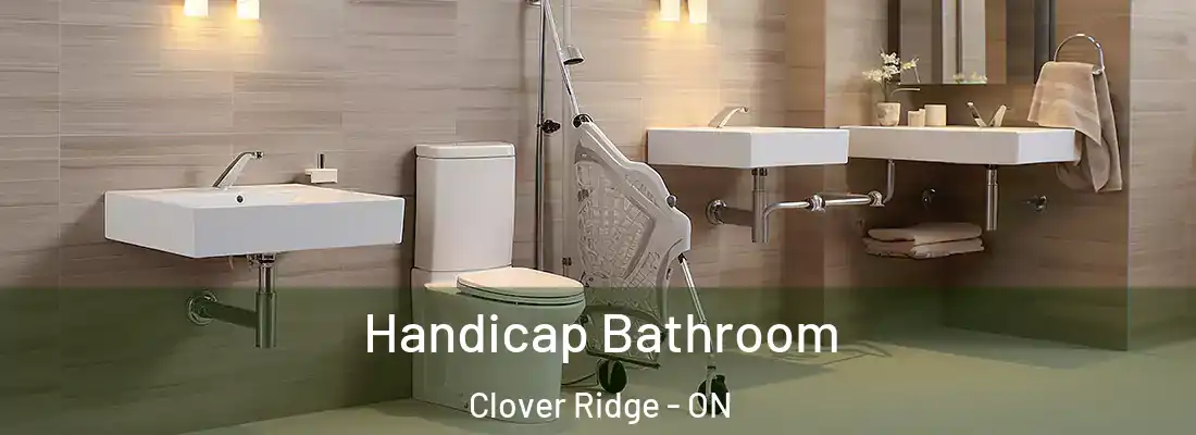  Handicap Bathroom Clover Ridge - ON