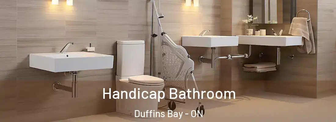  Handicap Bathroom Duffins Bay - ON