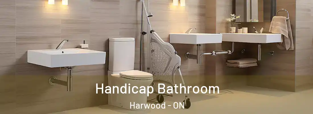  Handicap Bathroom Harwood - ON