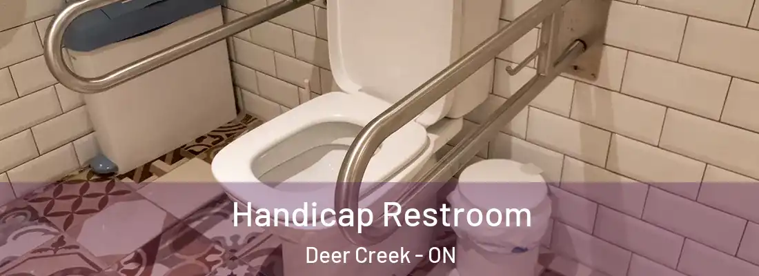  Handicap Restroom Deer Creek - ON