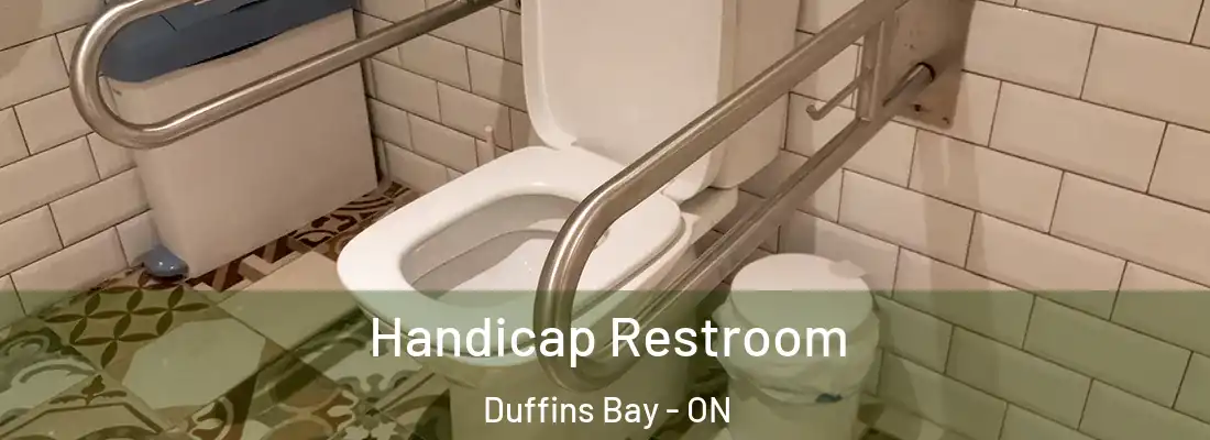  Handicap Restroom Duffins Bay - ON