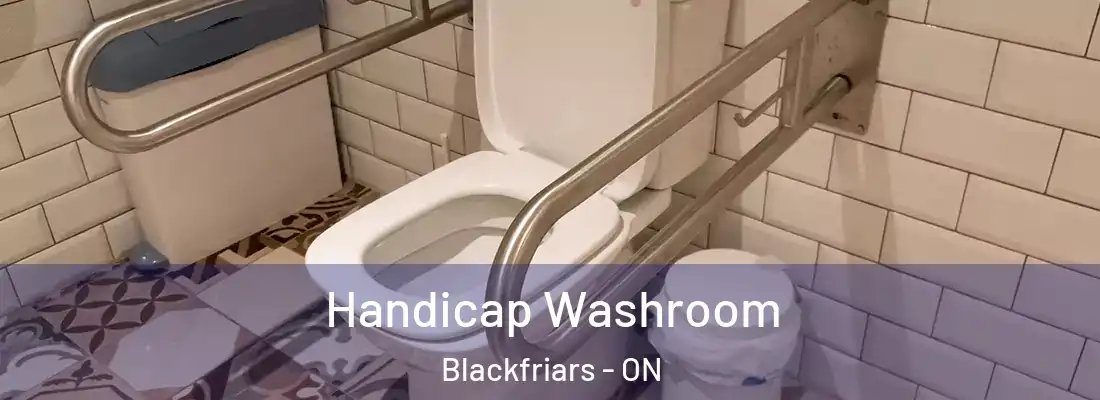  Handicap Washroom Blackfriars - ON