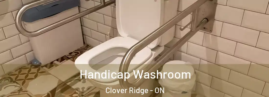  Handicap Washroom Clover Ridge - ON