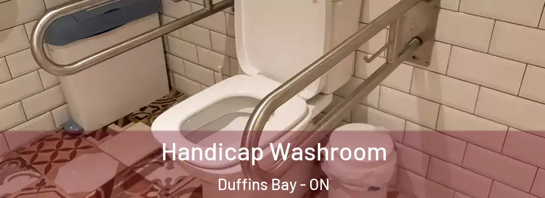  Handicap Washroom Duffins Bay - ON