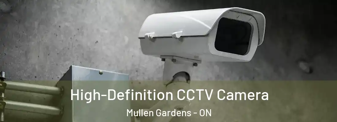  High-Definition CCTV Camera Mullen Gardens - ON