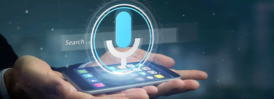 Enhance Security with Voice Recognition Access Systems in Lake Vista, ON
