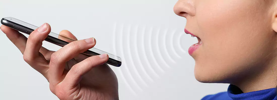 Residential and Commercial Voice Recognition Access Solutions in Lake Vista, ON