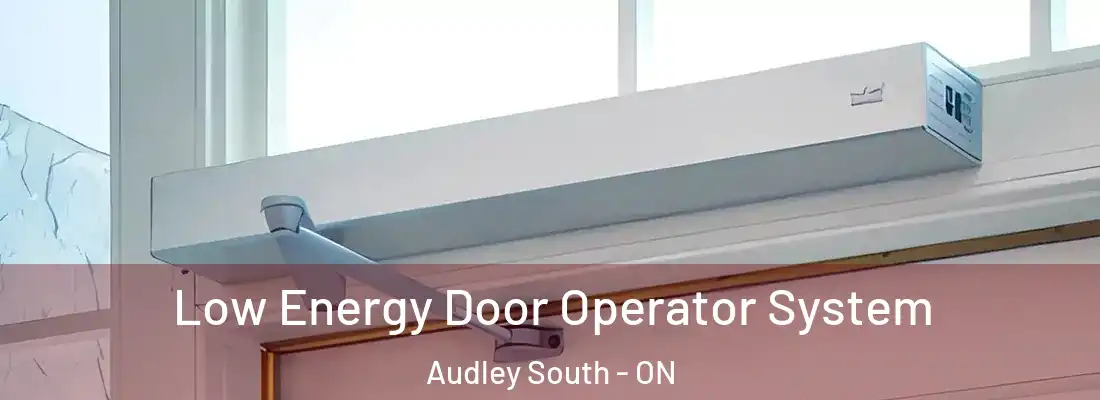  Low Energy Door Operator System Audley South - ON