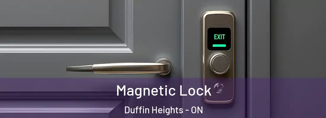  Magnetic Lock Duffin Heights - ON