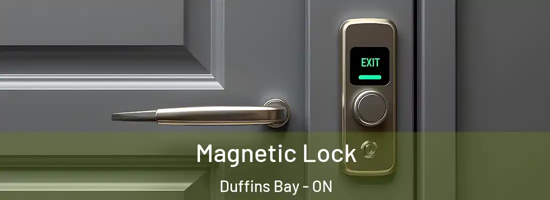  Magnetic Lock Duffins Bay - ON