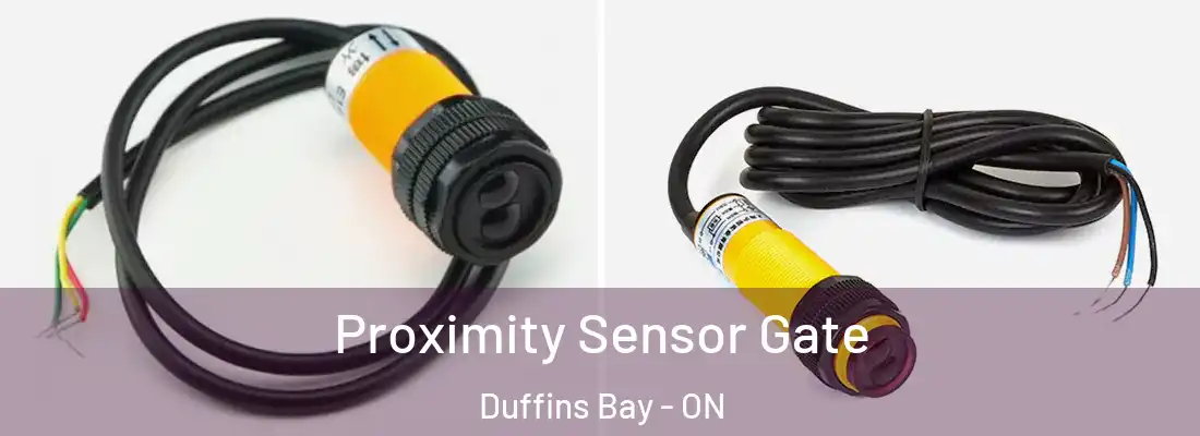  Proximity Sensor Gate Duffins Bay - ON