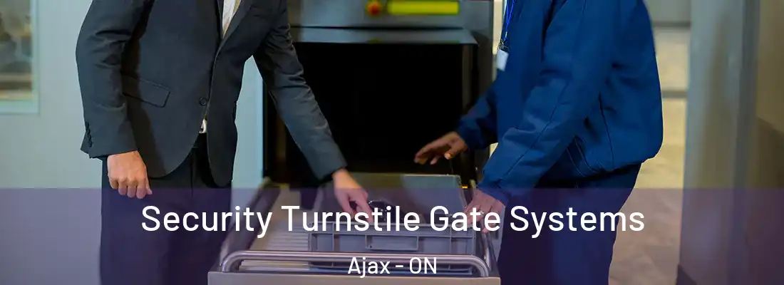  Security Turnstile Gate Systems Ajax - ON