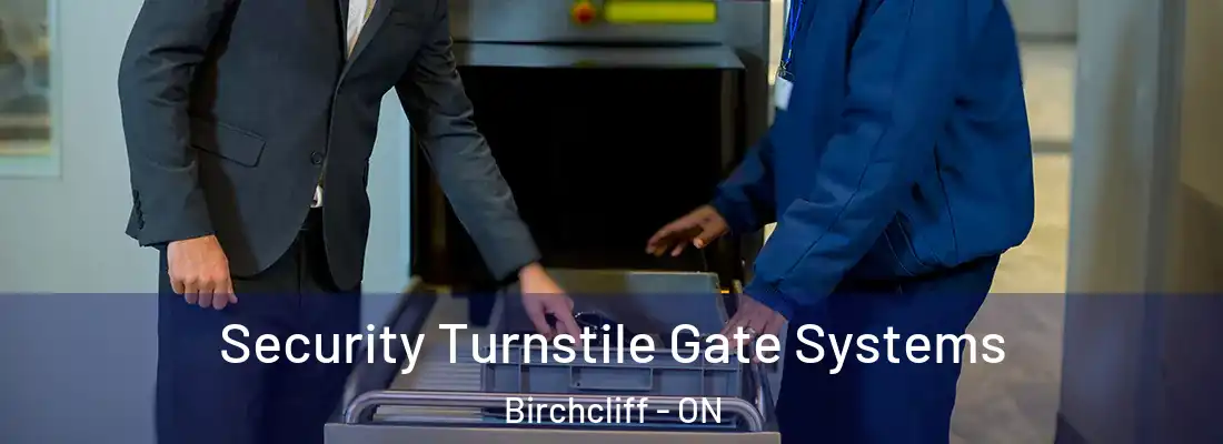  Security Turnstile Gate Systems Birchcliff - ON