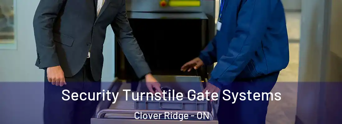  Security Turnstile Gate Systems Clover Ridge - ON