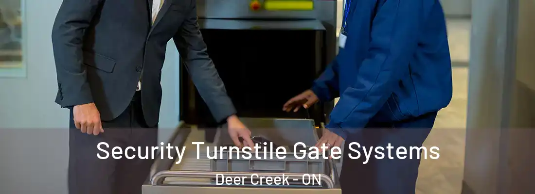 Security Turnstile Gate Systems Deer Creek - ON