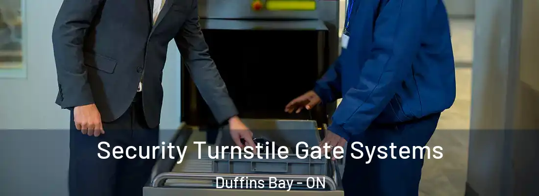  Security Turnstile Gate Systems Duffins Bay - ON
