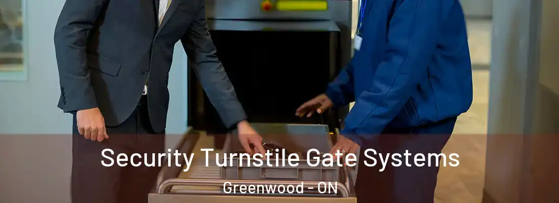  Security Turnstile Gate Systems Greenwood - ON