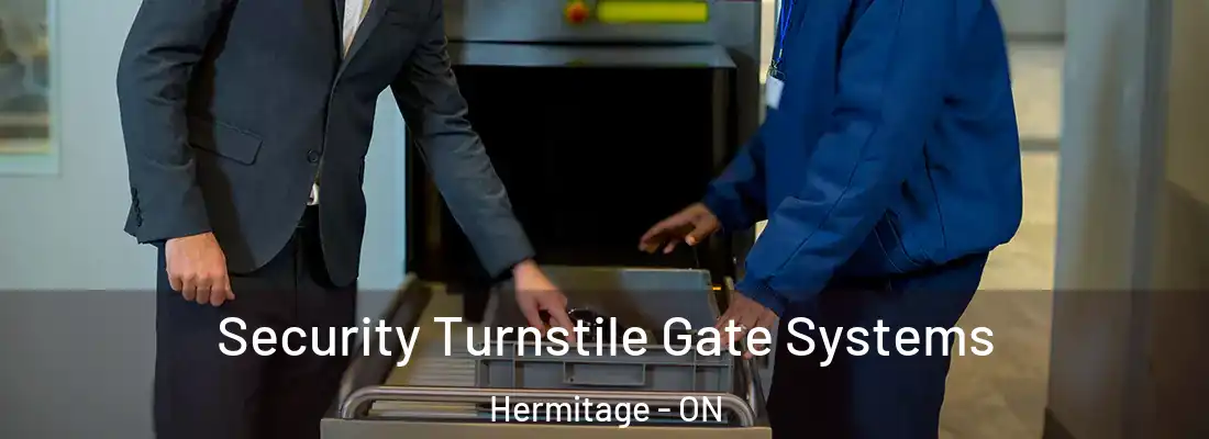  Security Turnstile Gate Systems Hermitage - ON
