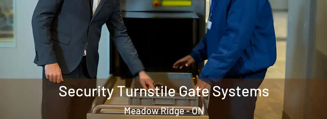  Security Turnstile Gate Systems Meadow Ridge - ON