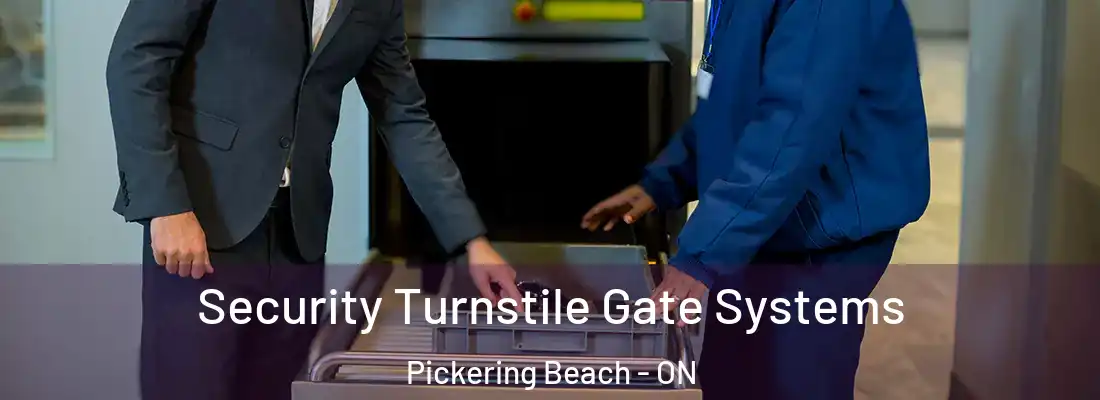  Security Turnstile Gate Systems Pickering Beach - ON