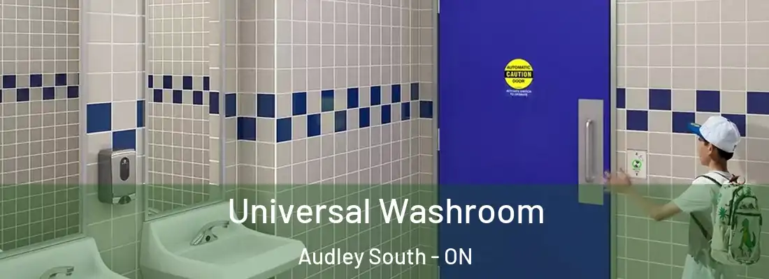 Universal Washroom Audley South - ON